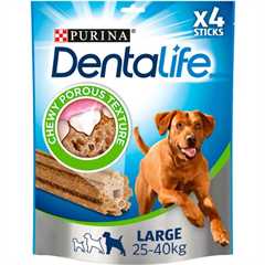 Dentalife Large Adult Dog Treat